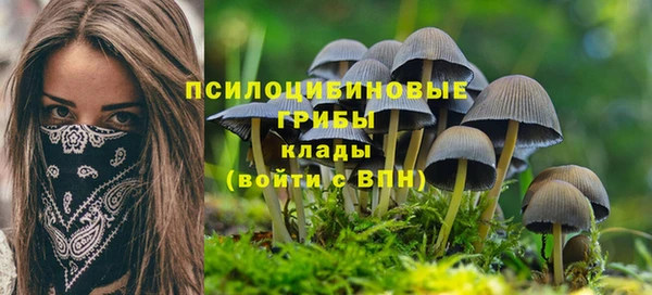 амф Краснослободск